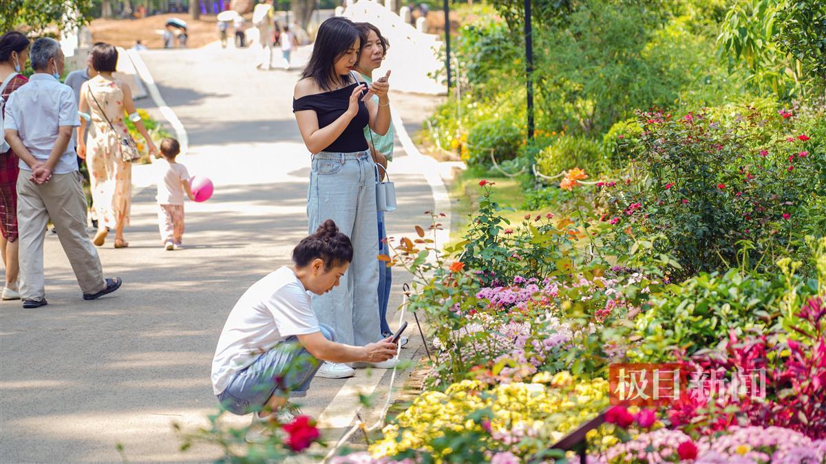 打鱼机吐分规律